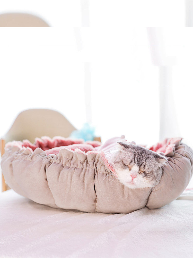 Cat in puffy pink cat bed
