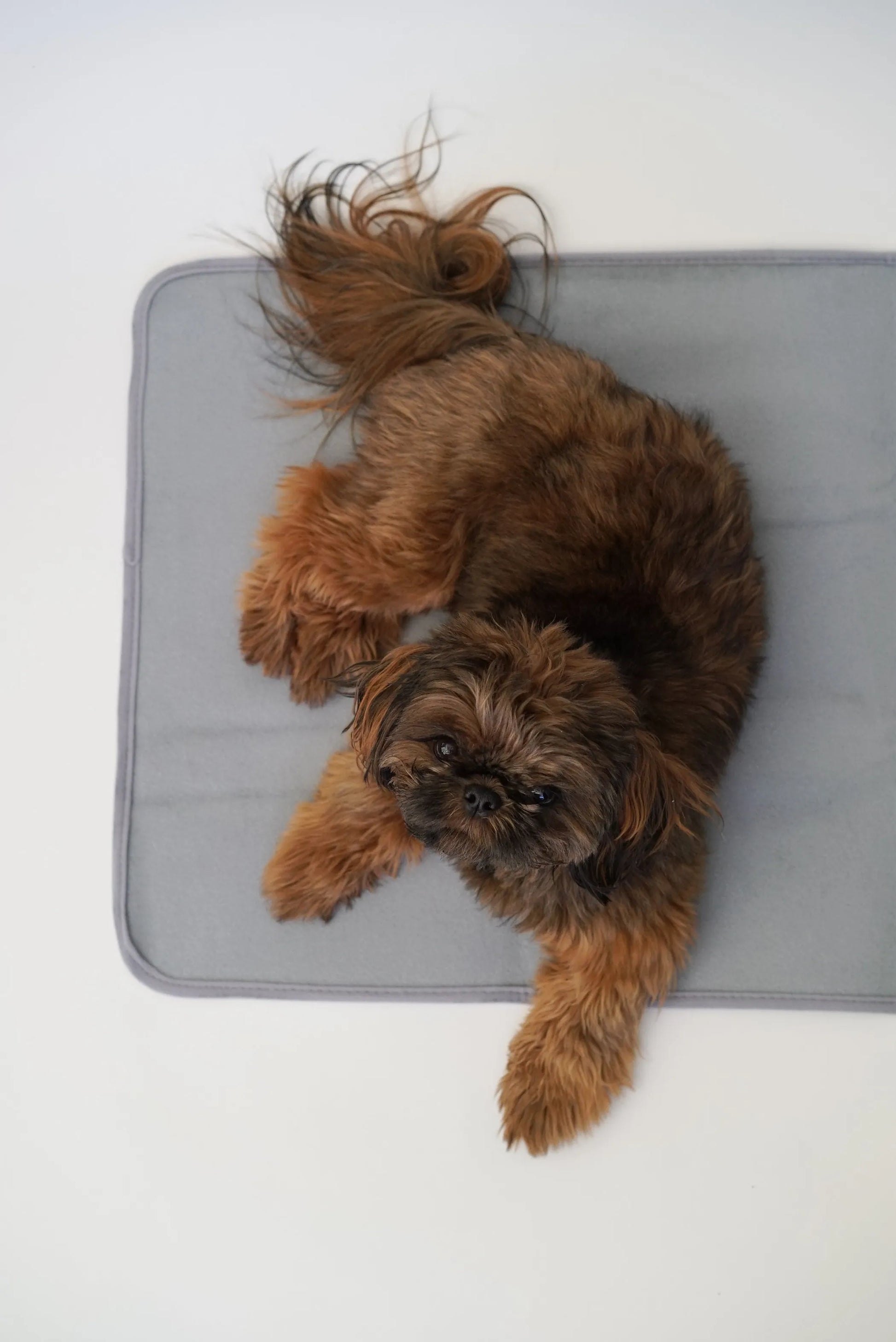 Thera-Pawz Pet Warming Pad