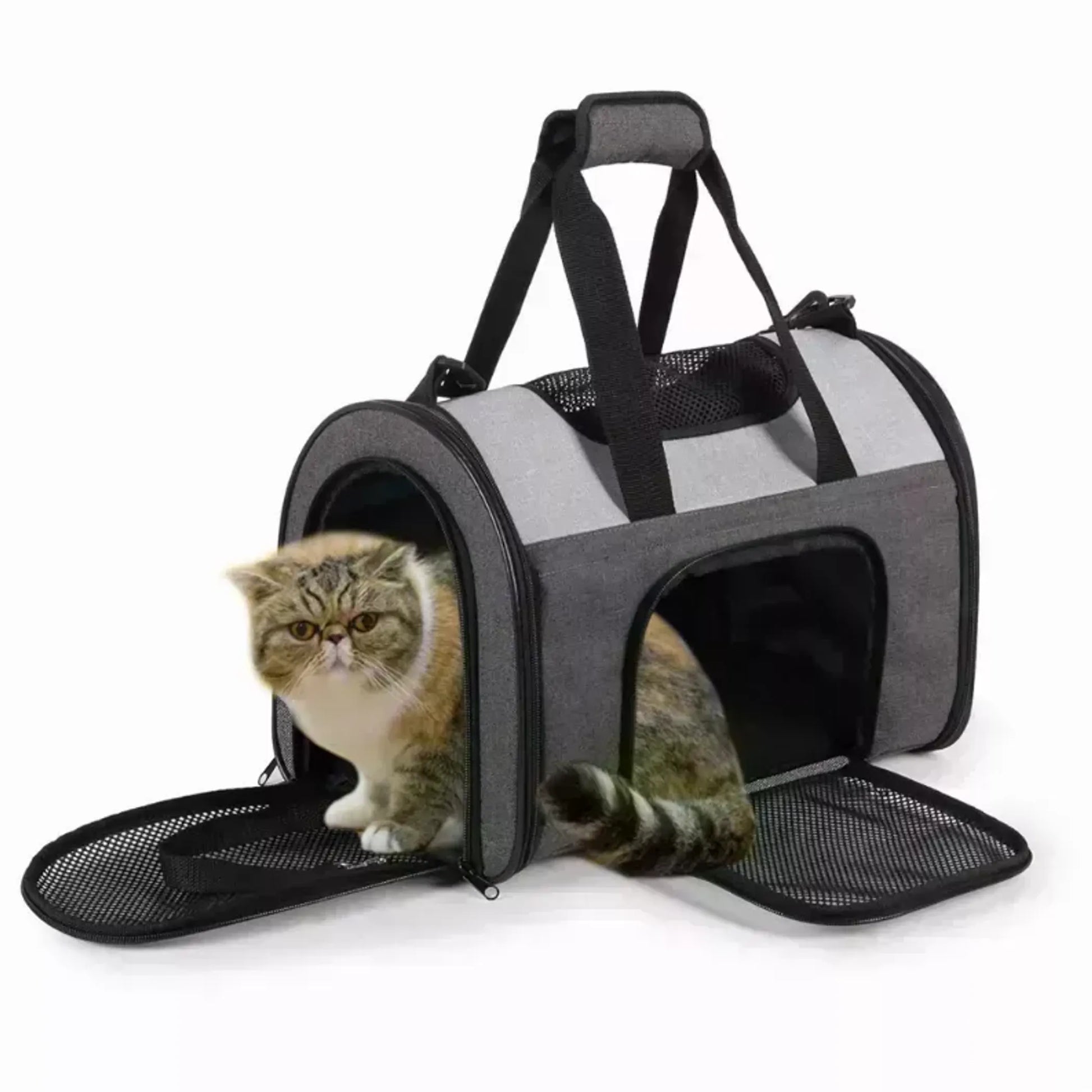 Cat in gray jesper soft sided pet carrier