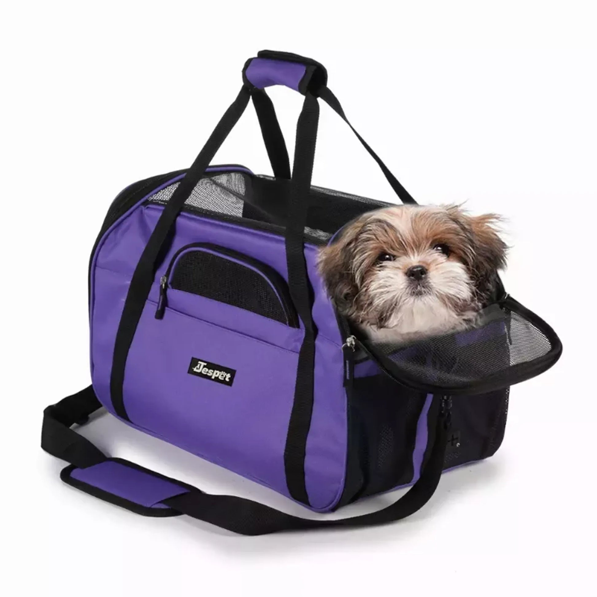 Dog in purple jesper soft sided pet carrier