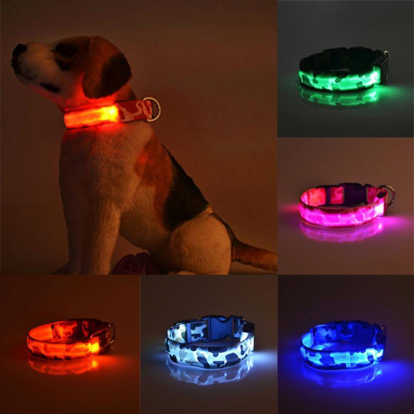 Luminous Glow-In-The-Dark Pet Collar-0