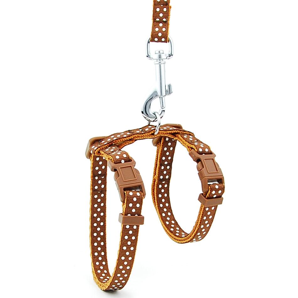 Escape-Proof Cat Leash: Secure Your Feline Friend With Confidence-1