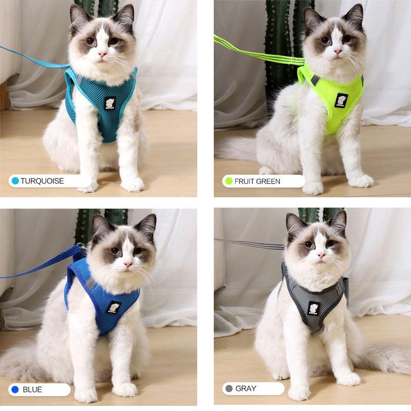 The Wanderlust Cat Adventure Harness-3