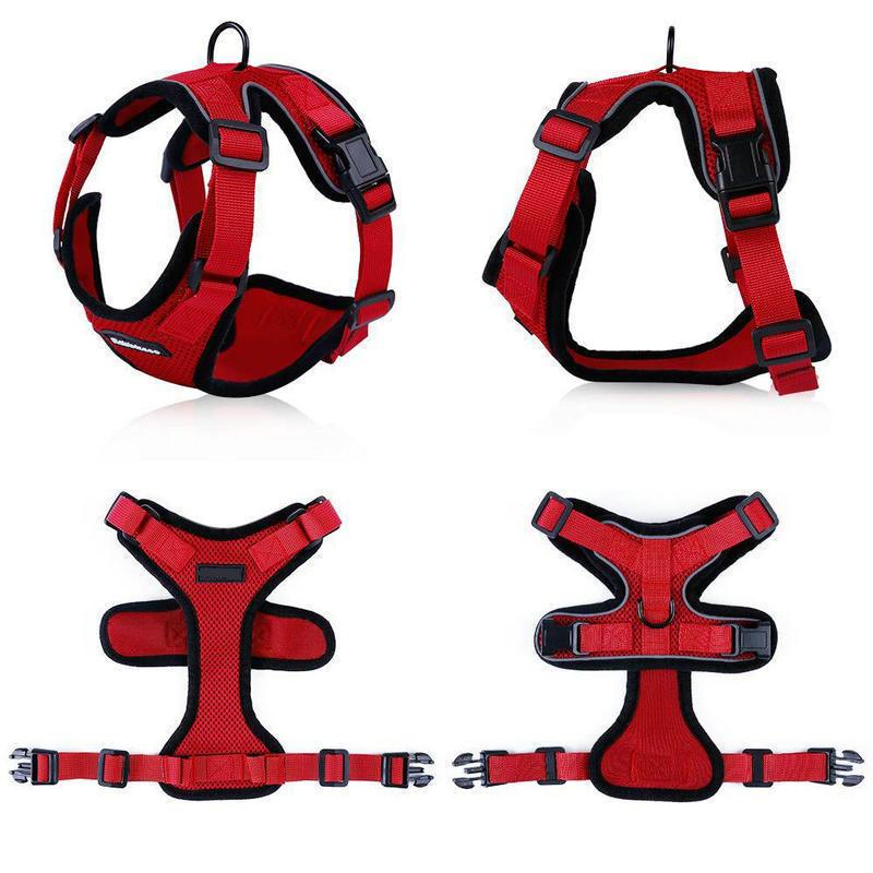 Purrfectprowl - Stylish Cat Walking Harness-2