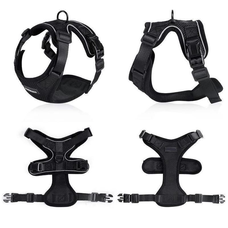 Purrfectprowl - Stylish Cat Walking Harness-4