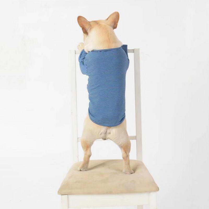 Whimsical Canine Couture: Stylish Casual Pet Clothes For Fashionable Pups-2