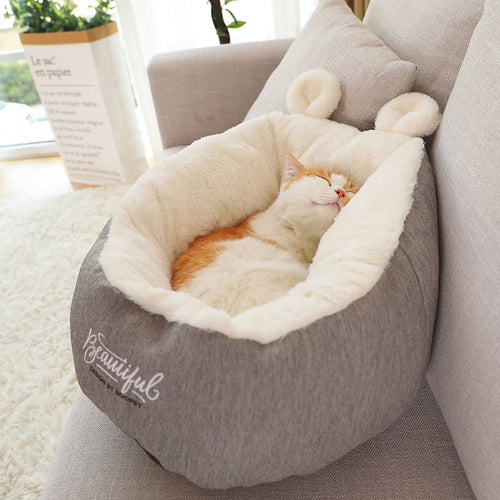 Cat sleeping in pet bed with fabric close up