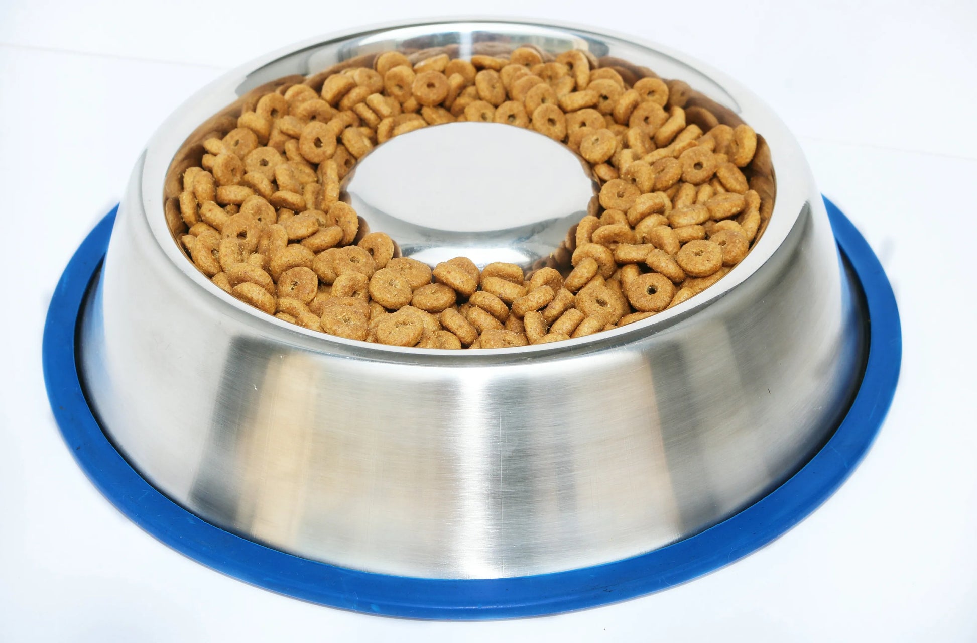 Mr. Peanut's Slow Feed Dog Bowl