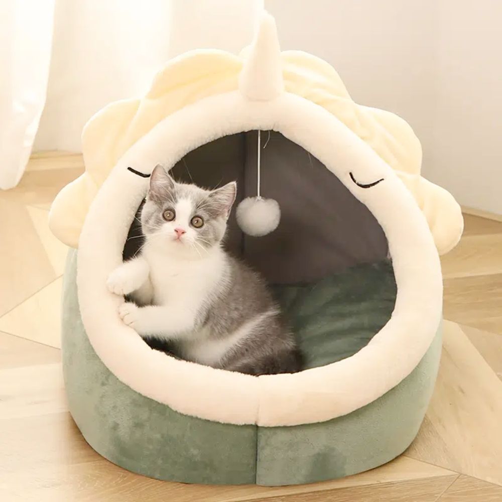 cat in green cat house with cream trim