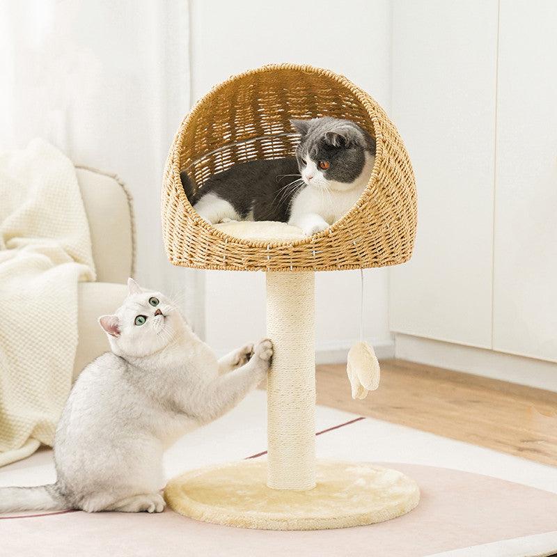 Two cats interacting with a wicker cat tree in a cozy living room.