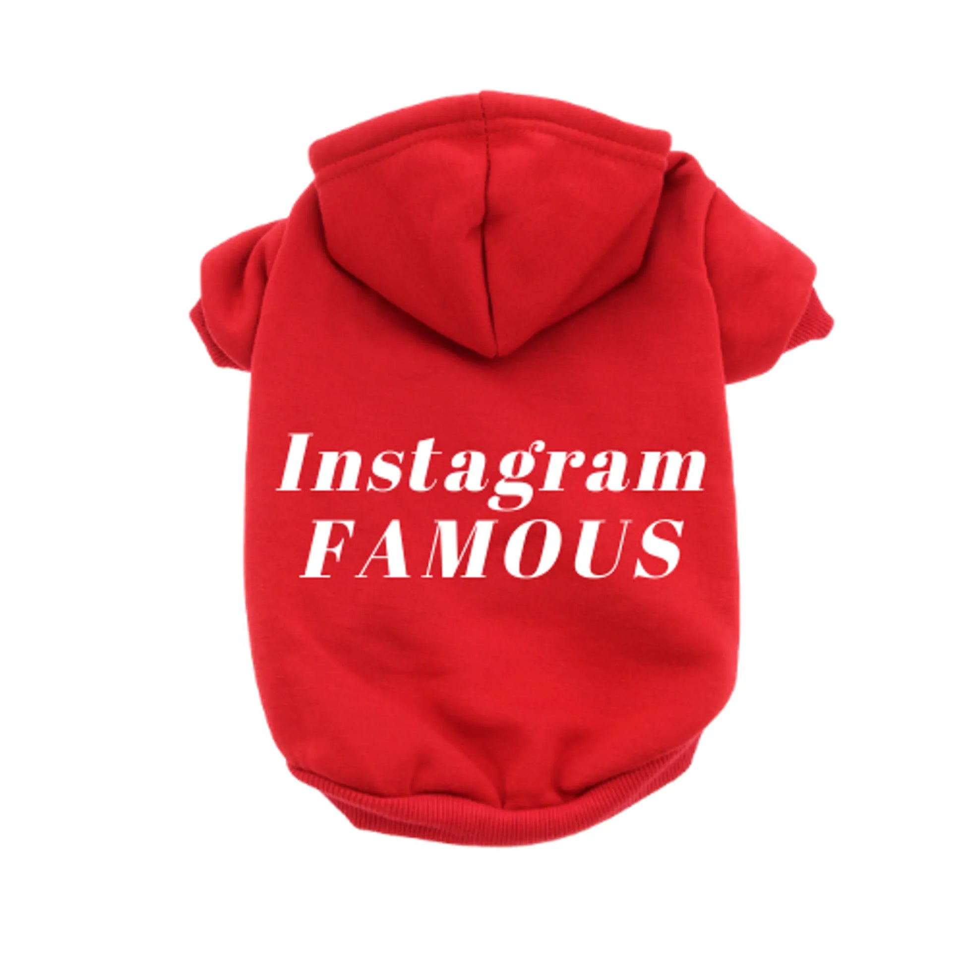 Red Instagram famous dog hoodie