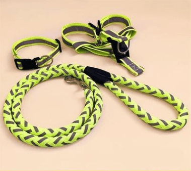 Ultimate Comfort Dog Leash-1