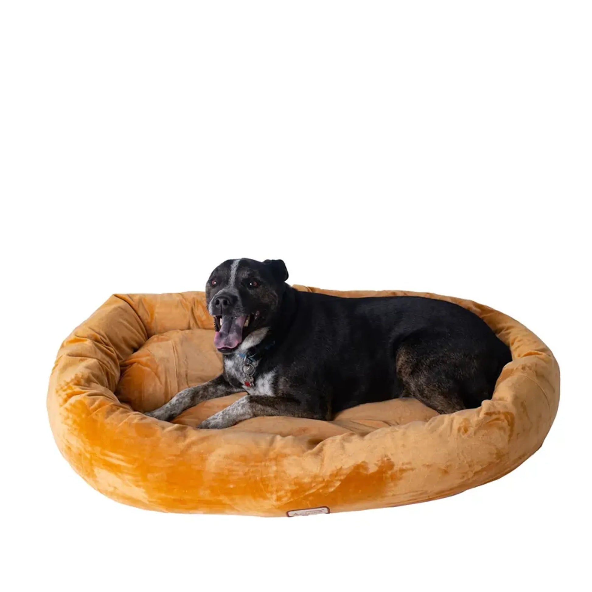 Bolstered Pet Bed and Mat