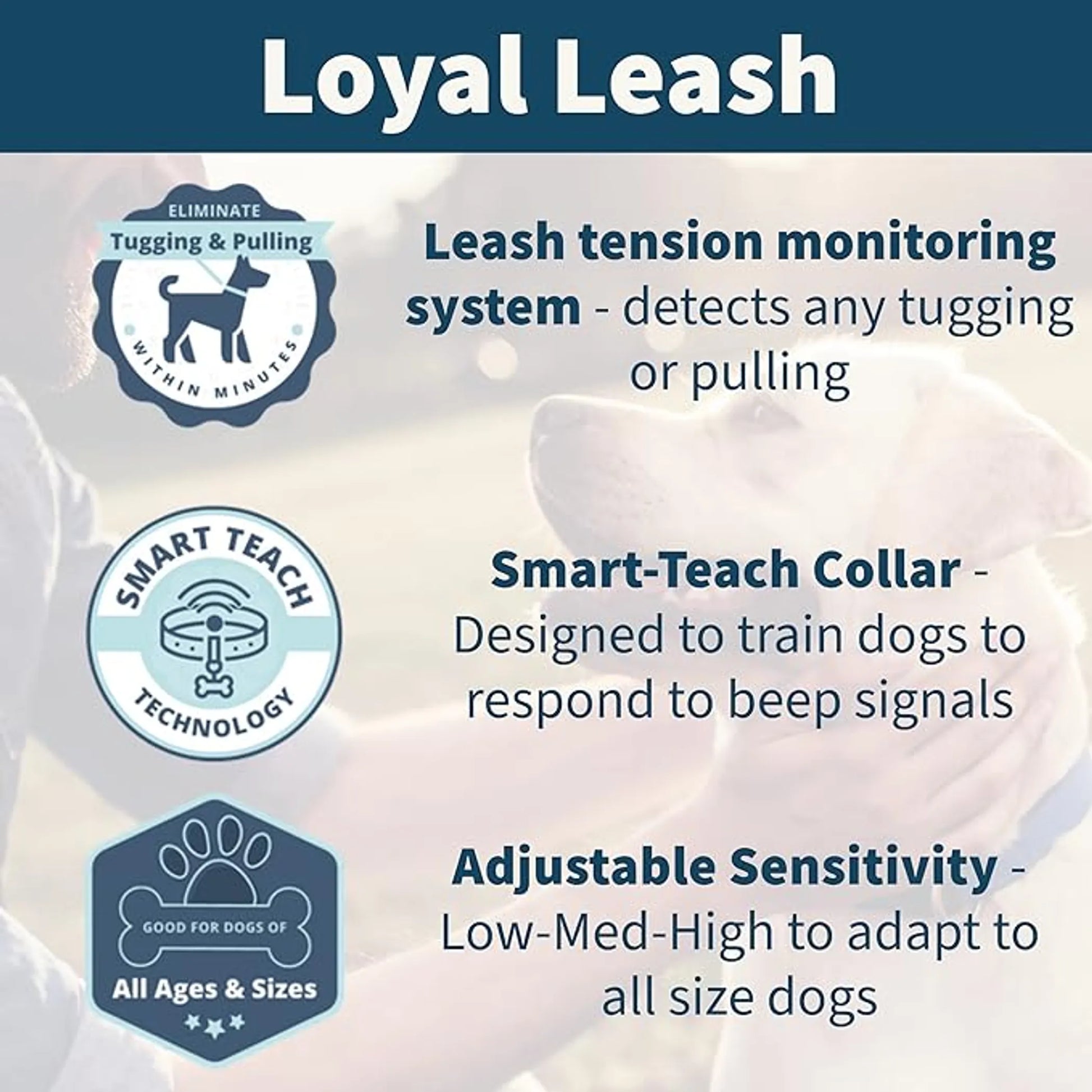 Loyal Leash with features highlighted on a light background