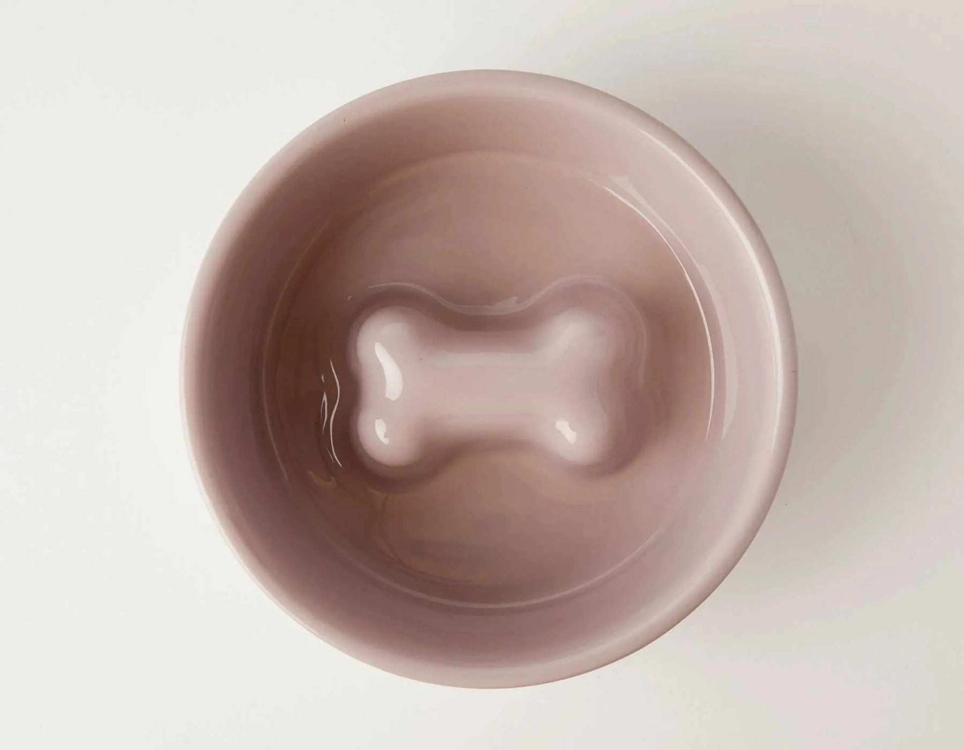 Stainless Steel Slow Feeder Dog Bowl