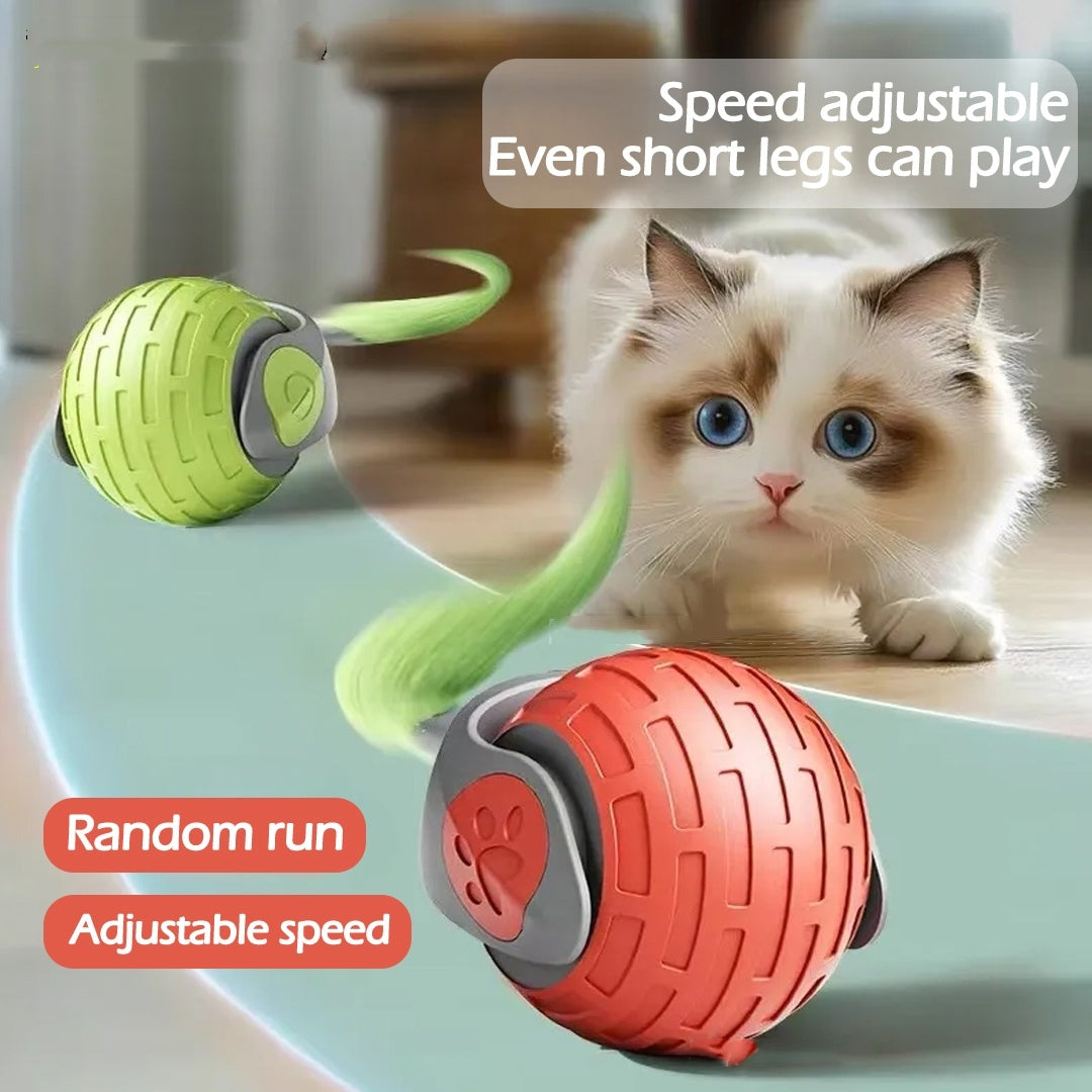 cat stalking red and green Interactive Cat Auto Electric Rolling Ball