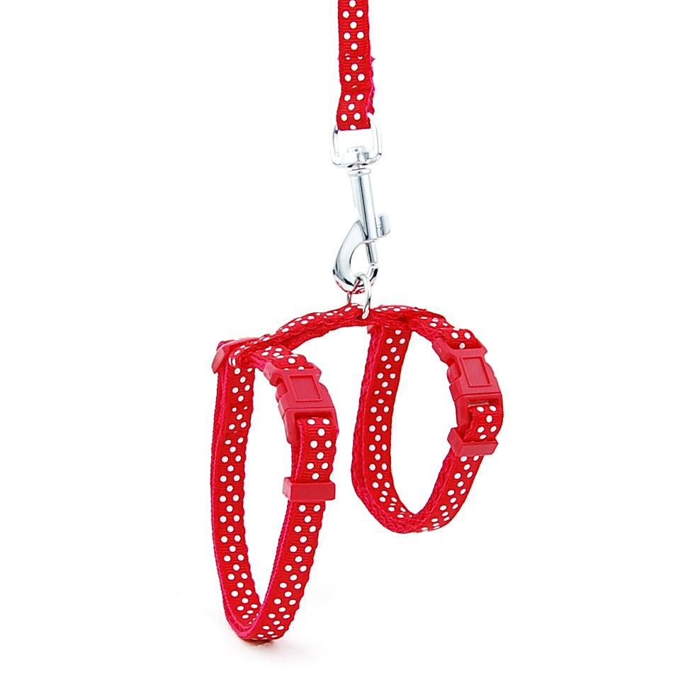 Escape-Proof Cat Leash: Secure Your Feline Friend With Confidence-4