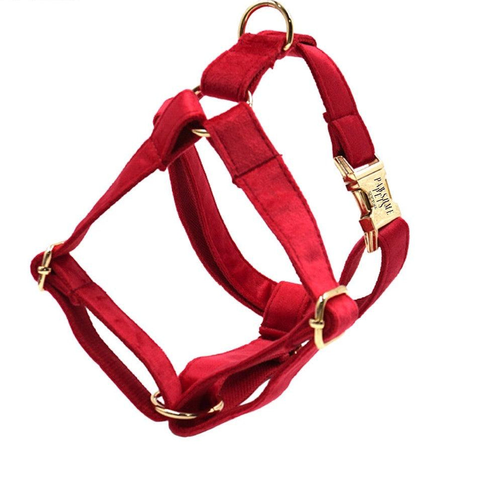 STEP IN HARNESS - RED-0