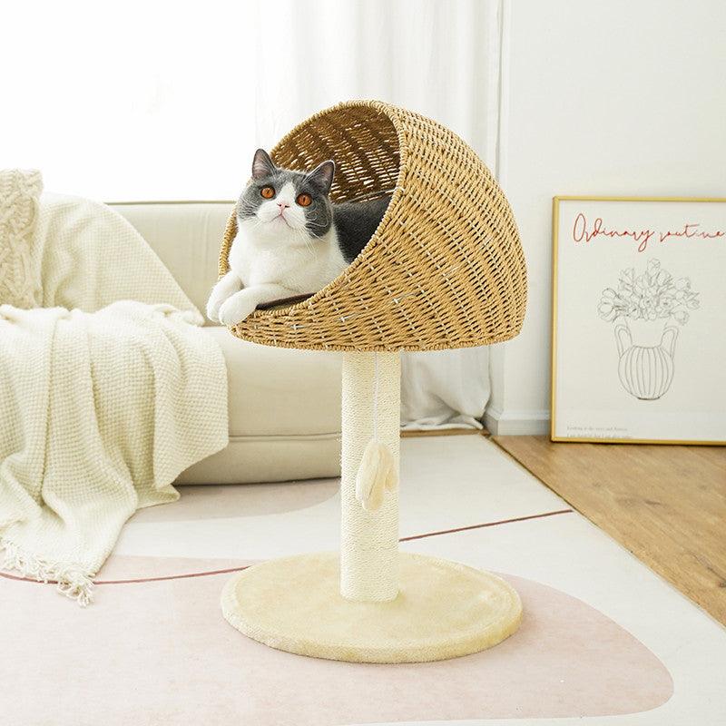 Cat sitting in a wicker pet bed on a stand in a cozy living room.