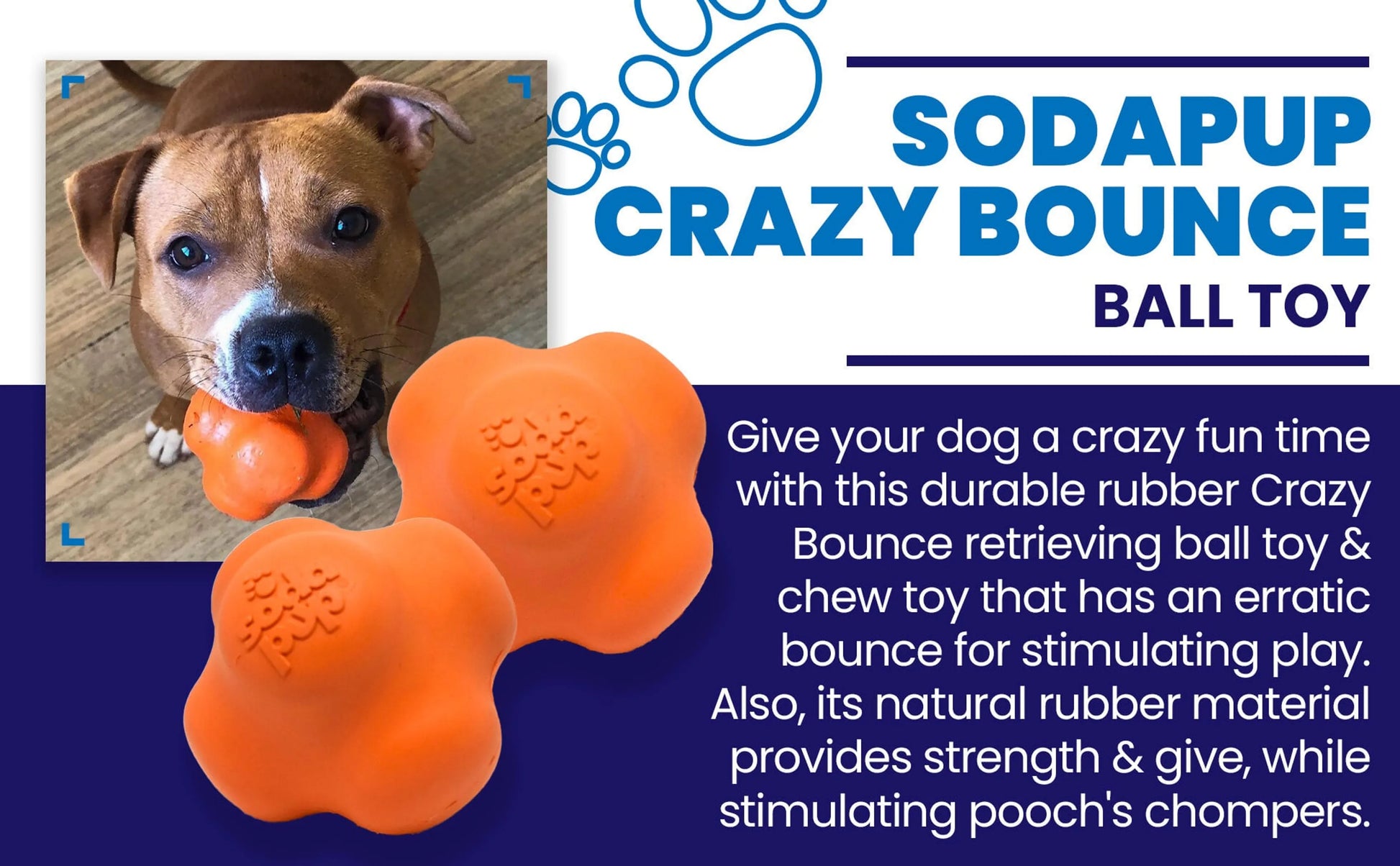 Crazy Bounce Chew & Retreive Dog Toy