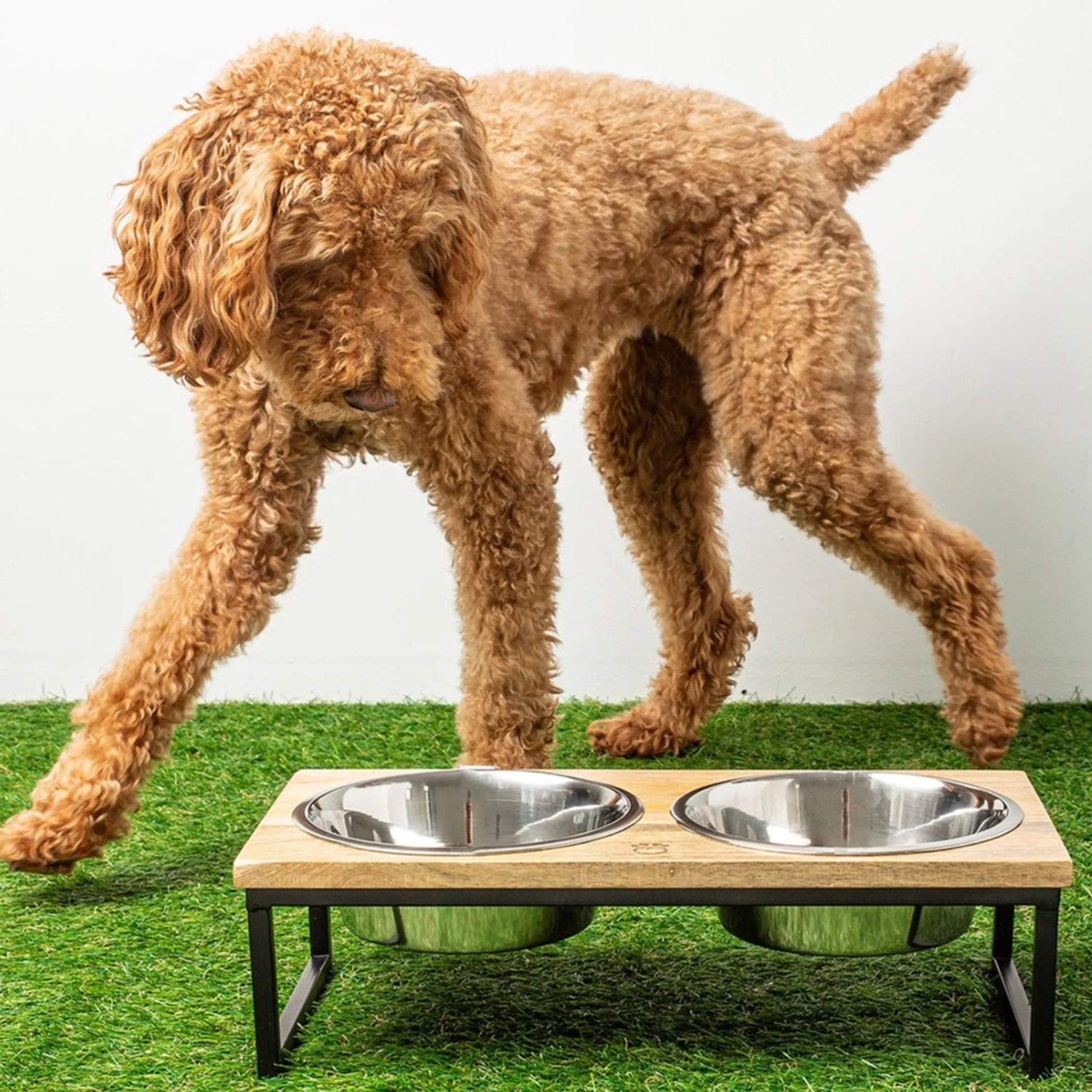 Brown dog standing next to a wooden pet feeder with two metal bowls on a grassy surface.