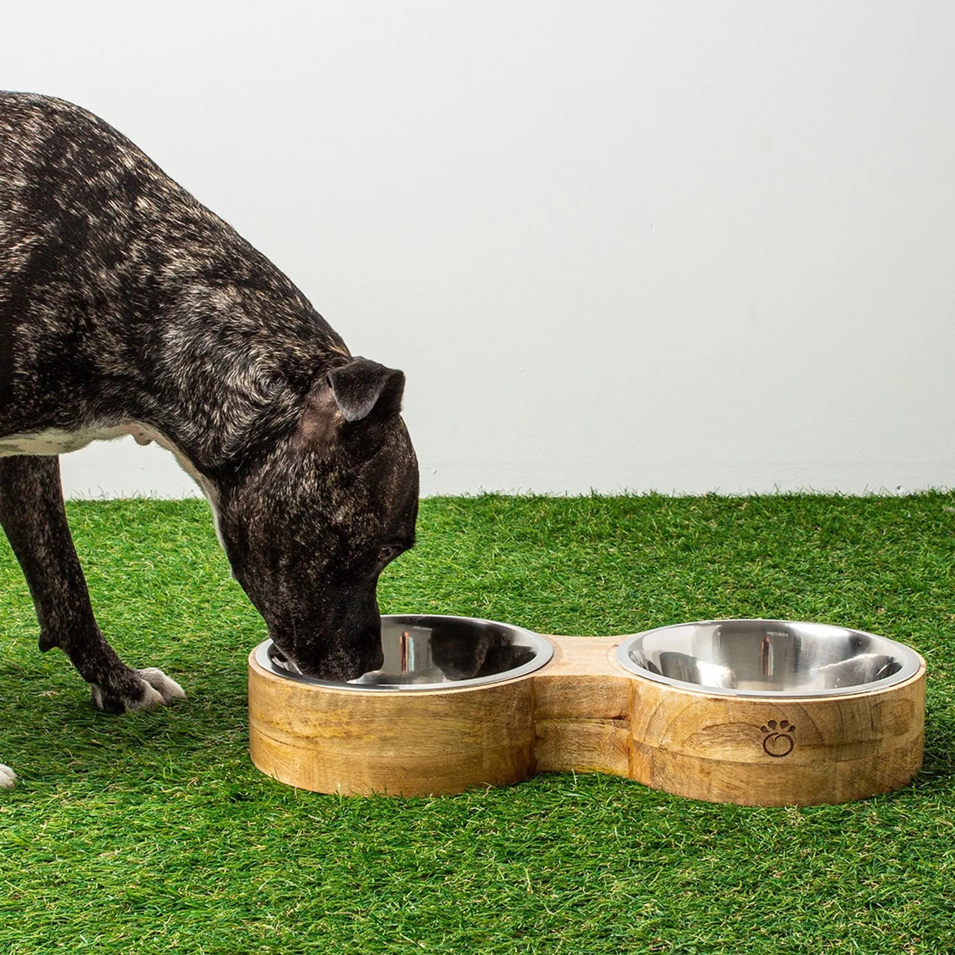 Dog drinking from a wooden double pet bowl on grass