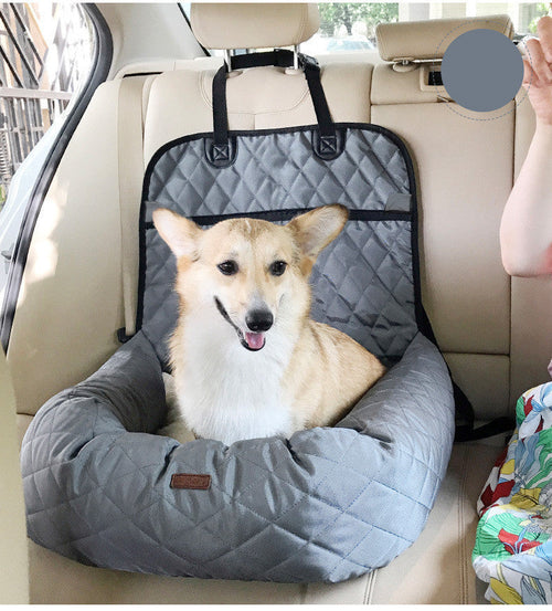 Light brown dog in the car sitting in a fluffy car carrier seat