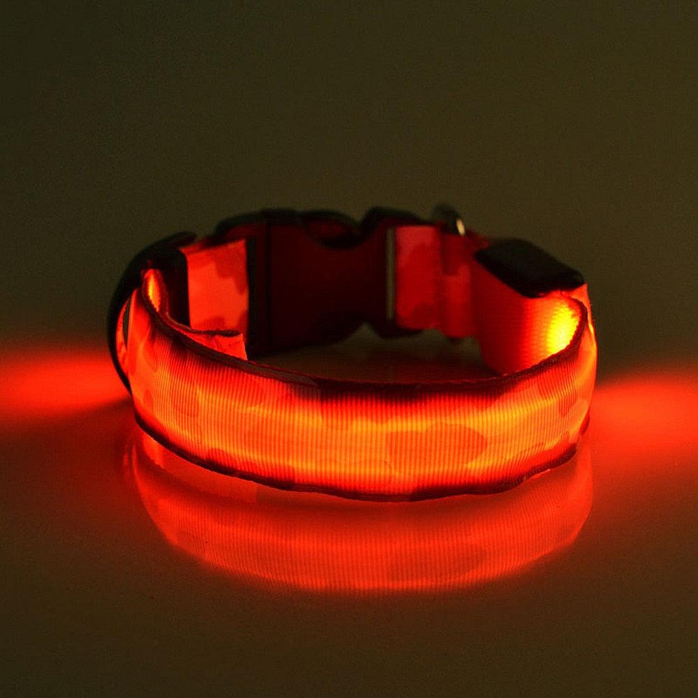 Luminous Glow-In-The-Dark Pet Collar-4