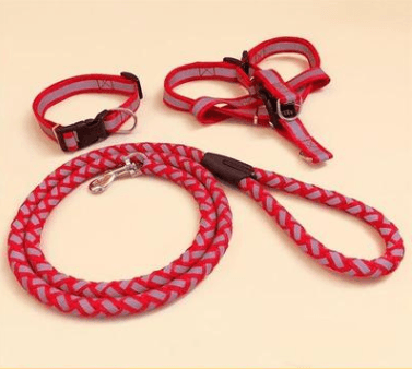 Ultimate Comfort Dog Leash-4