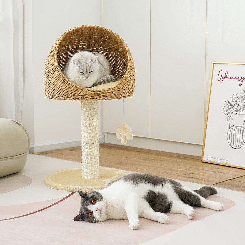 Two cats on a rug with a wicker cat tree in a room.