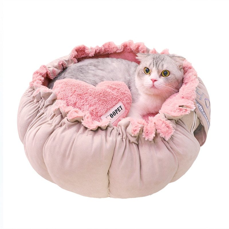Cat in puffy pink cat bed