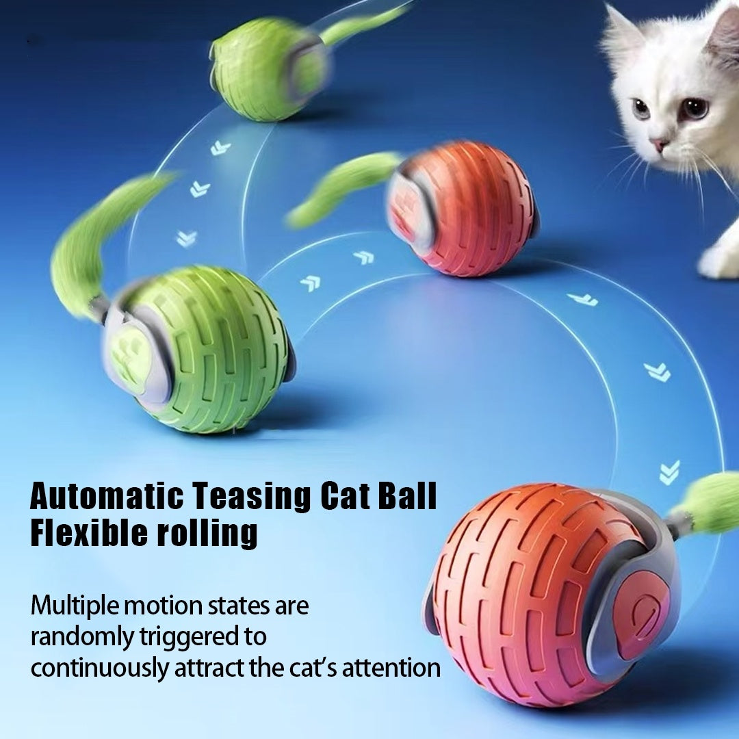 cat stalking red and green Interactive Cat Auto Electric Rolling Ball demonstration