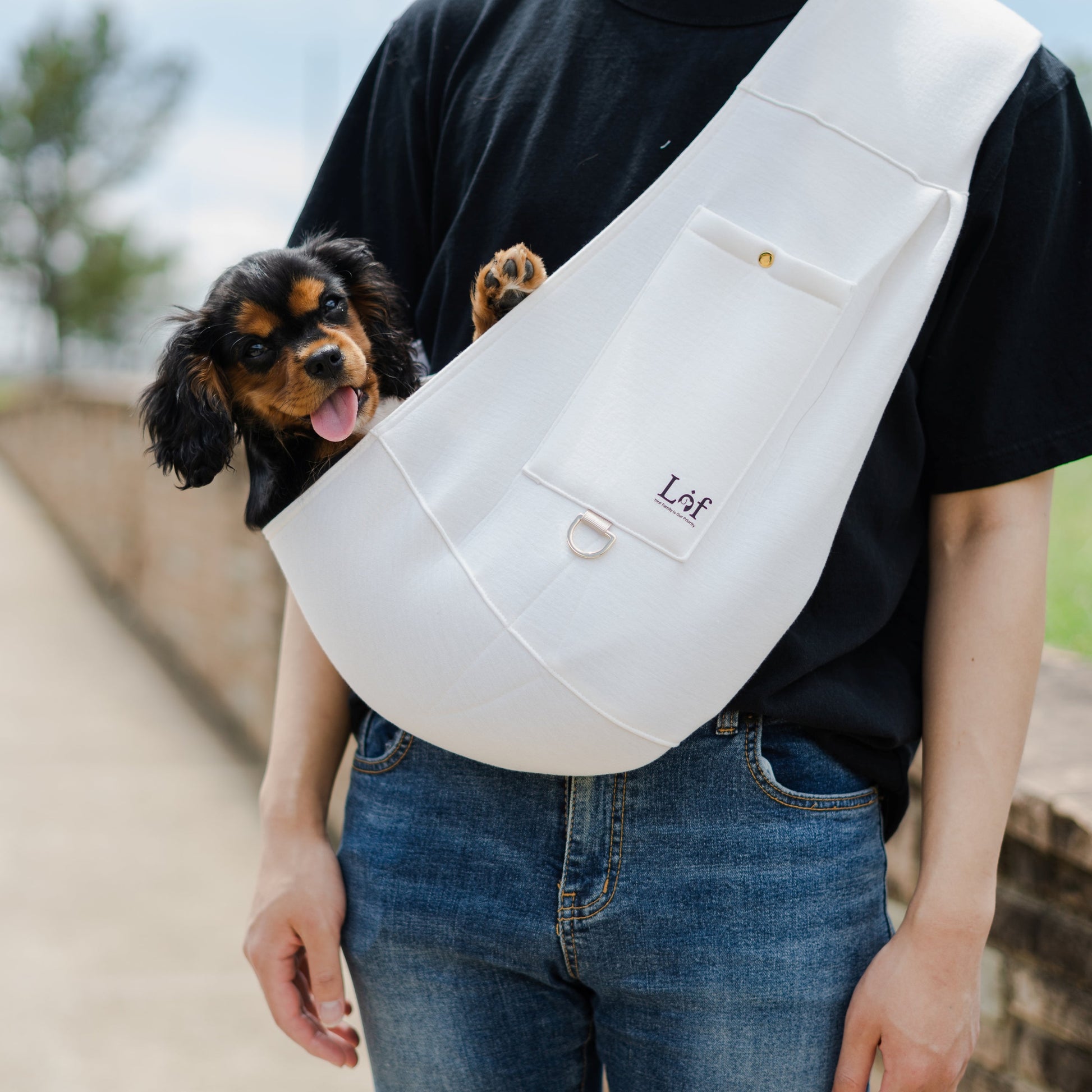 DOG IN NEOPRENE SLING WITH OWNER