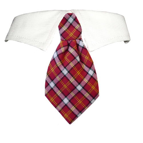 red dog tie and white shirt collar