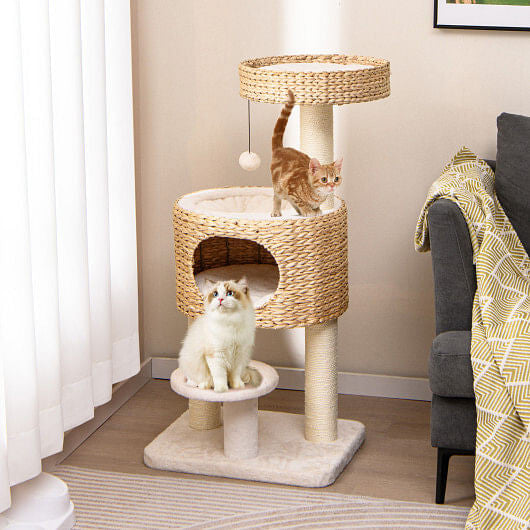 Two cats on a multi-level cat tree in a home setting.