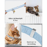 Cat wearing a light blue collar with text indicating weight and scratch resistance.