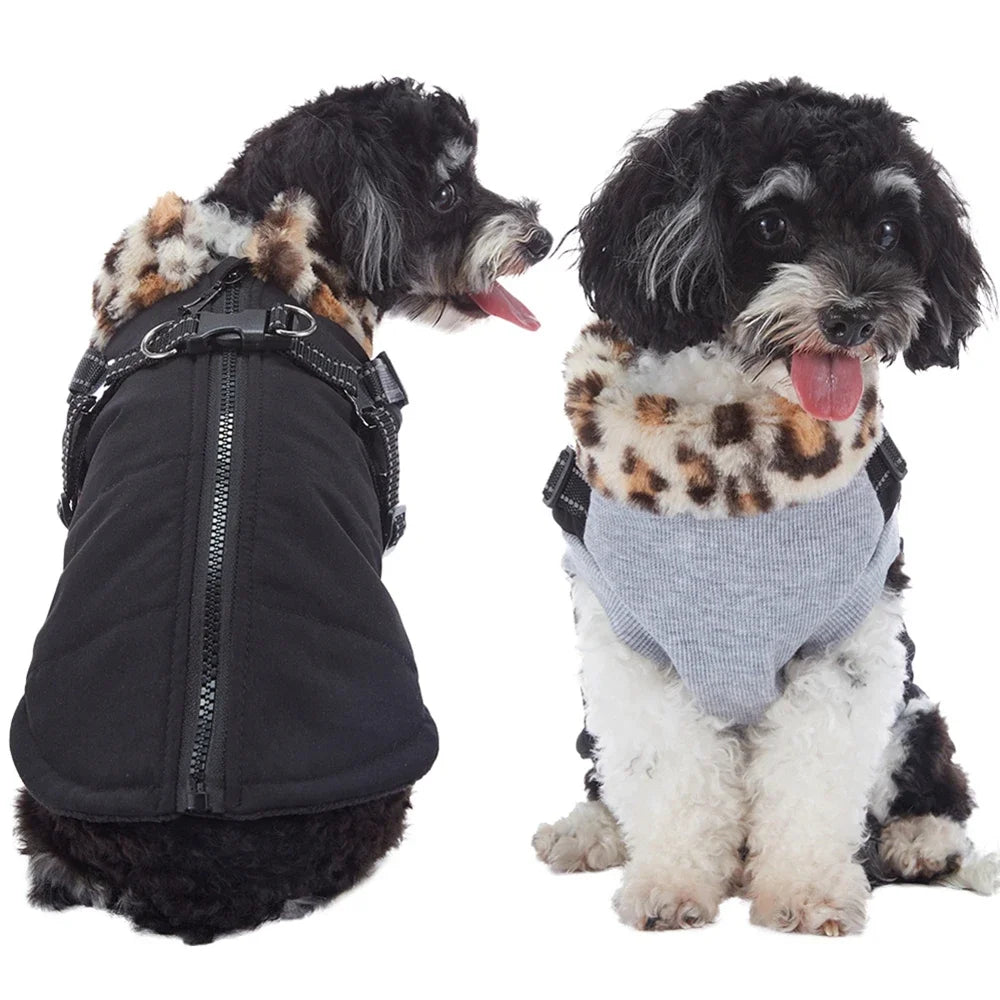 Jacket With Harness For S/M Dogs