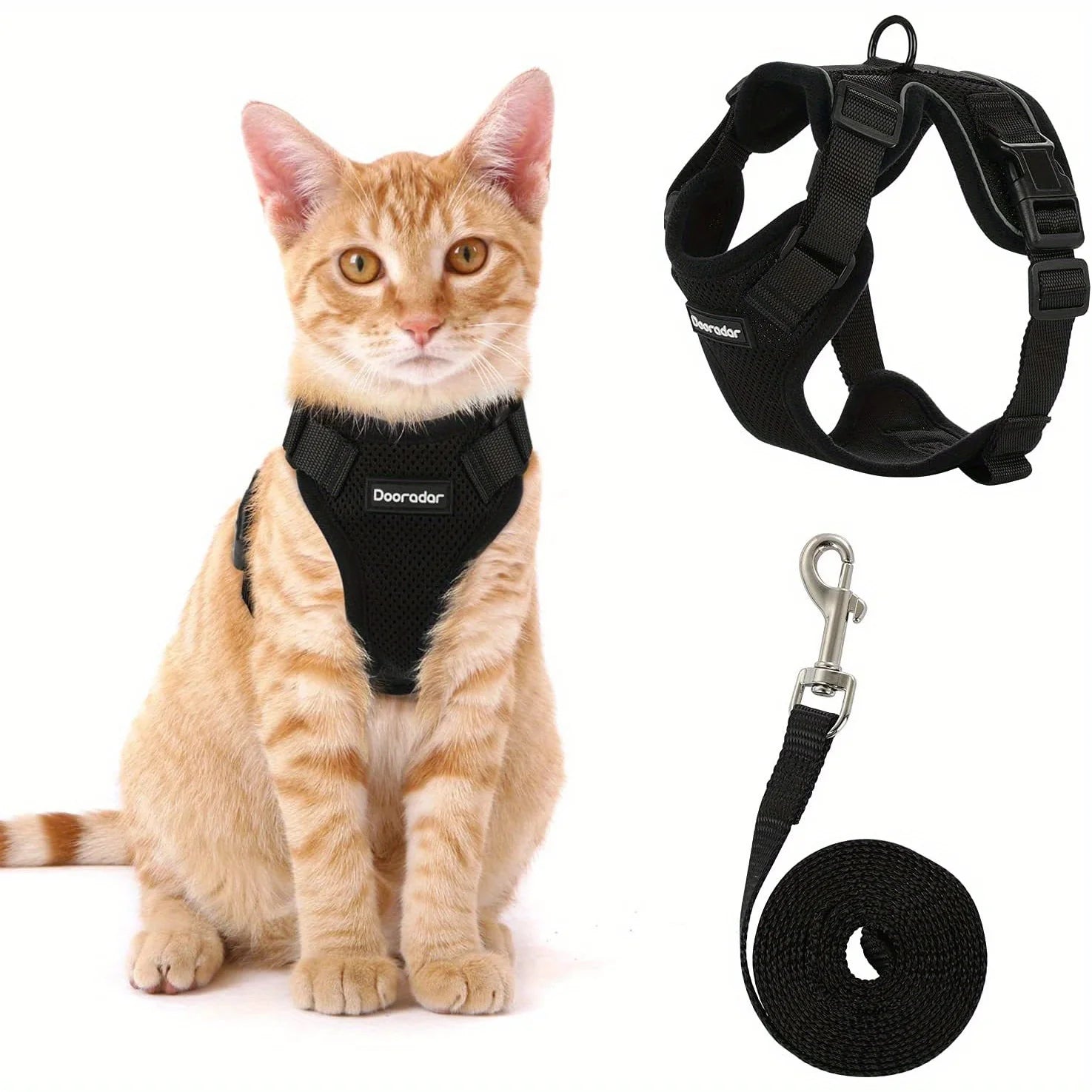 Cat wearing a black harness, black leash, and full harness, on a white background 