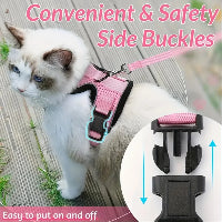 Cat wearing a pink harness with side buckles, on a wooden floor.