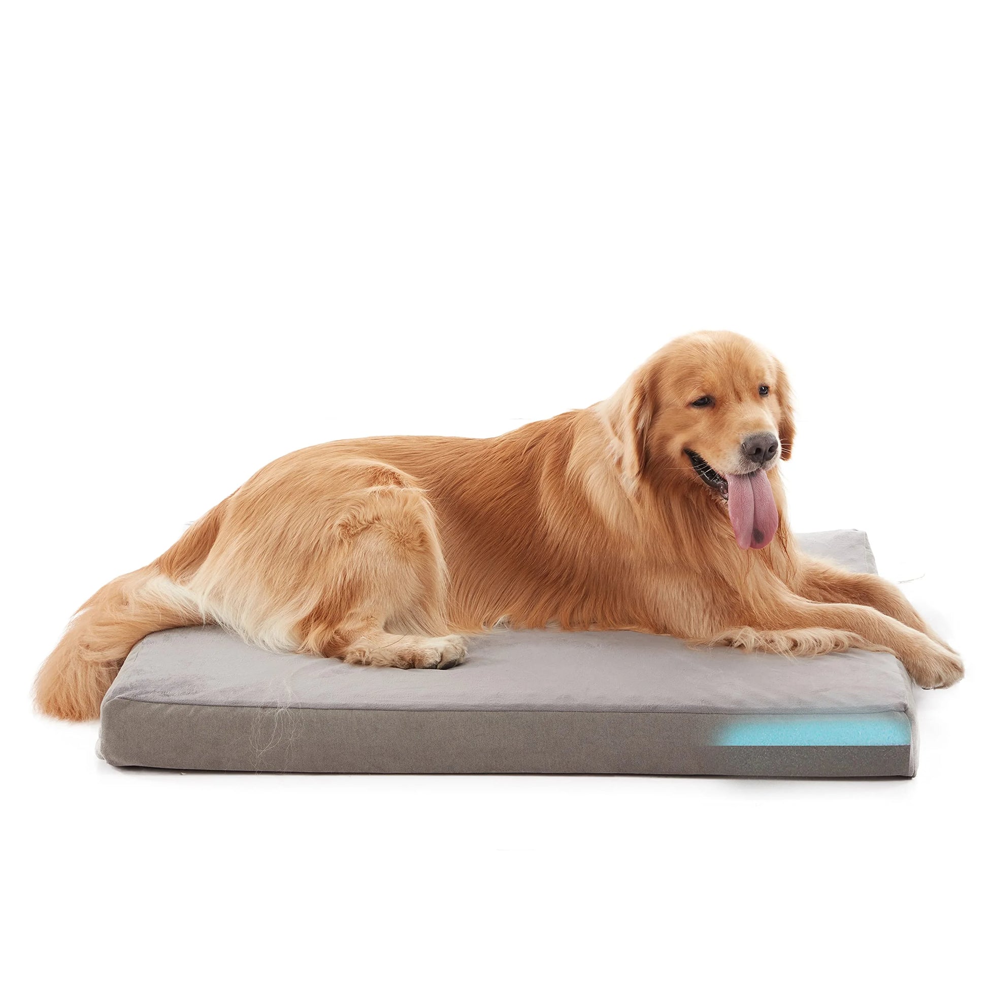 Orthopedic Waterproof Dog Bed