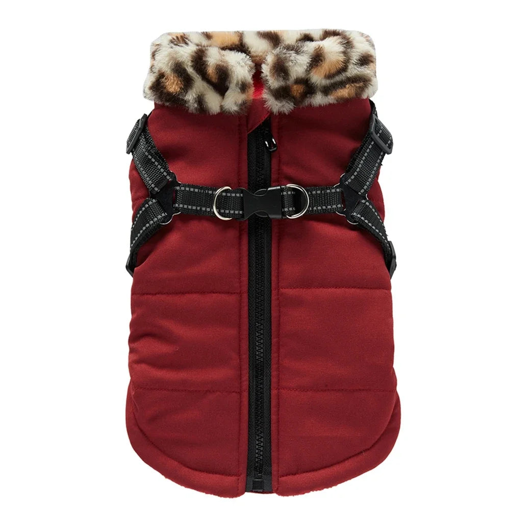 Jacket With Harness For S/M Dogs