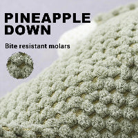 Text 'PINEAPPLE DOWN' and 'Bite resistant molars' with a close-up of textured material on a light gray background.