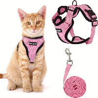 Cat wearing a pink harness and leash set on a white background