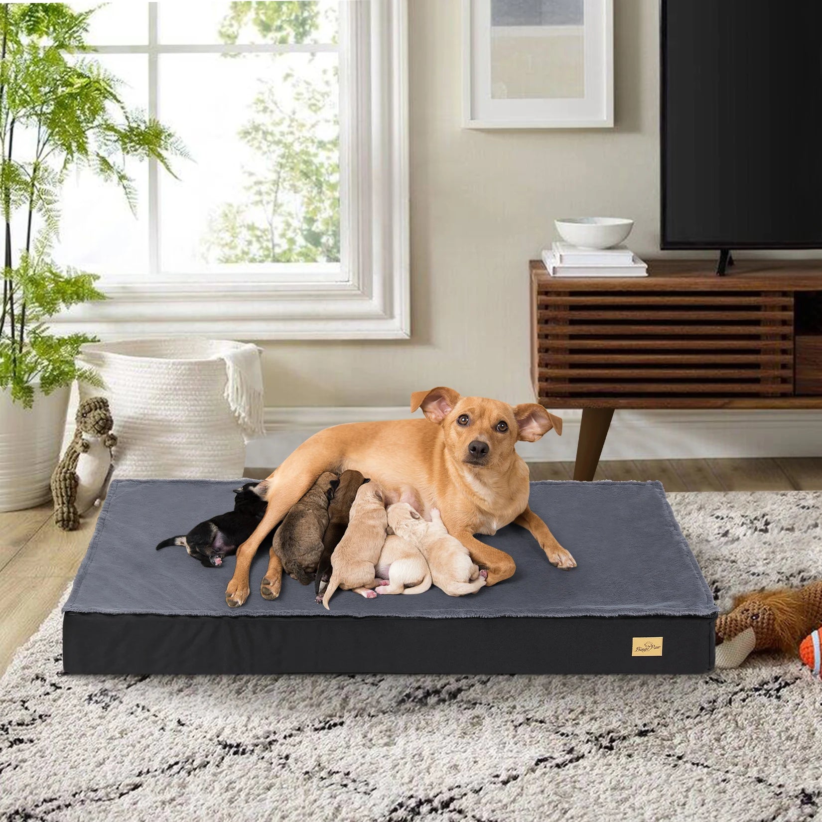 Dog Orthopedic Bed With Waterproof Lining