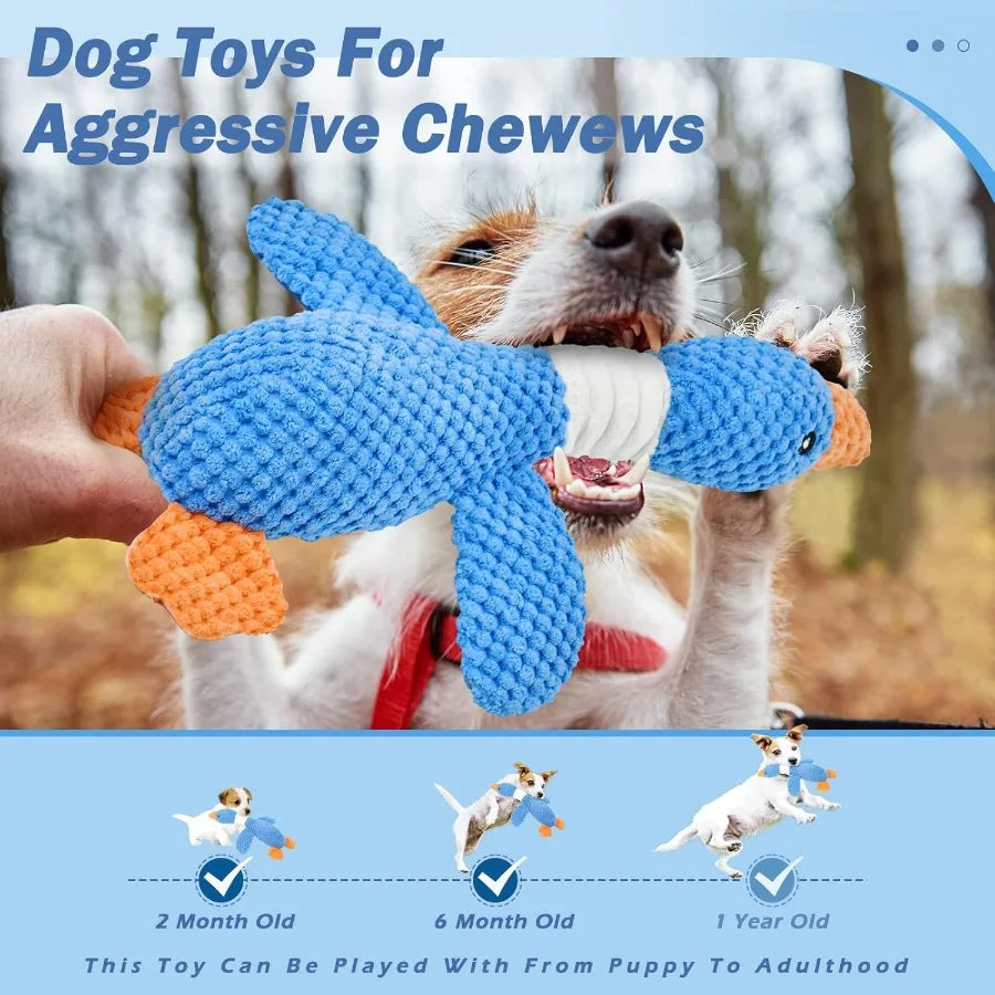 Crinkle Squeaky for Aggressive Dog Chewers