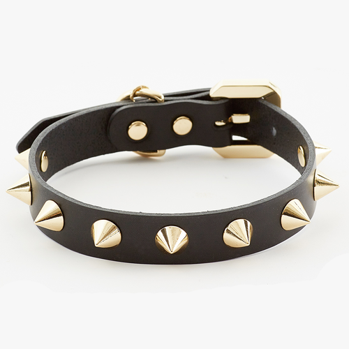 Black and gold spiked dog collar