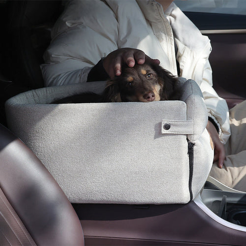 Brown dog and owner in car dog in car seat carrier