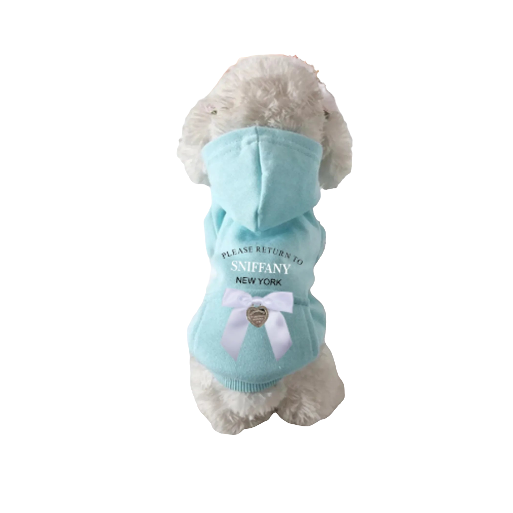 Dog sitting in a turquoise sniffany dog hoodie 