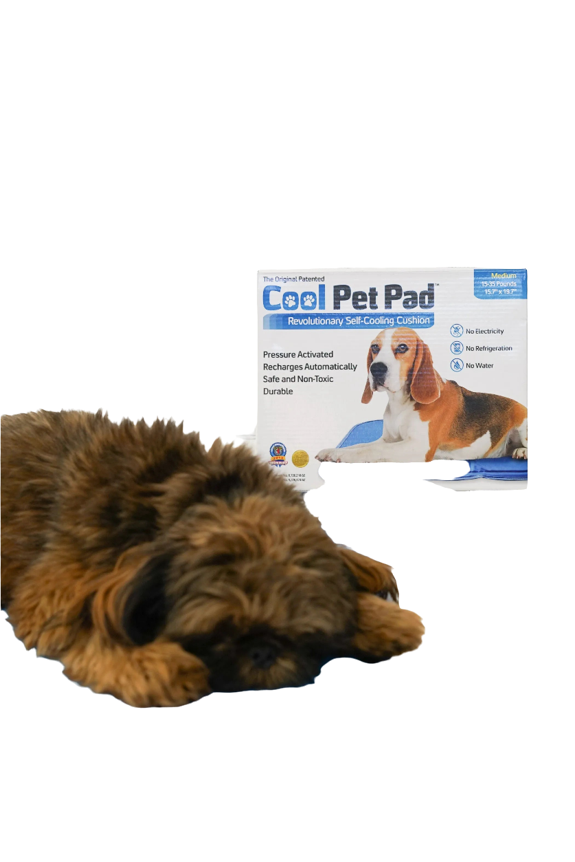 Dog lying on a Cool Pet Pad with its packaging in the background