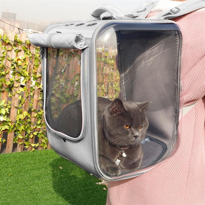 Cat in a transparent pet carrier with a person holding it outdoors.